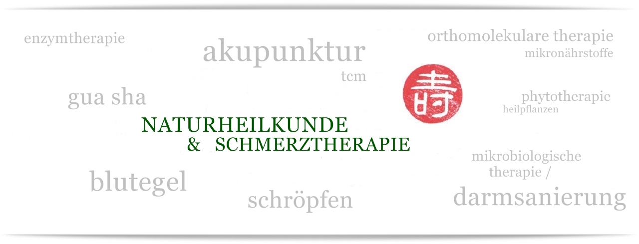 (c) Akupunkturinhamburg.de